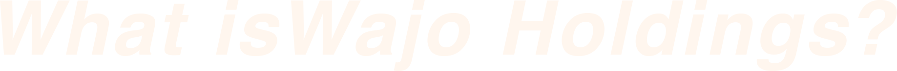 WAJO HOLDINGS GROUP