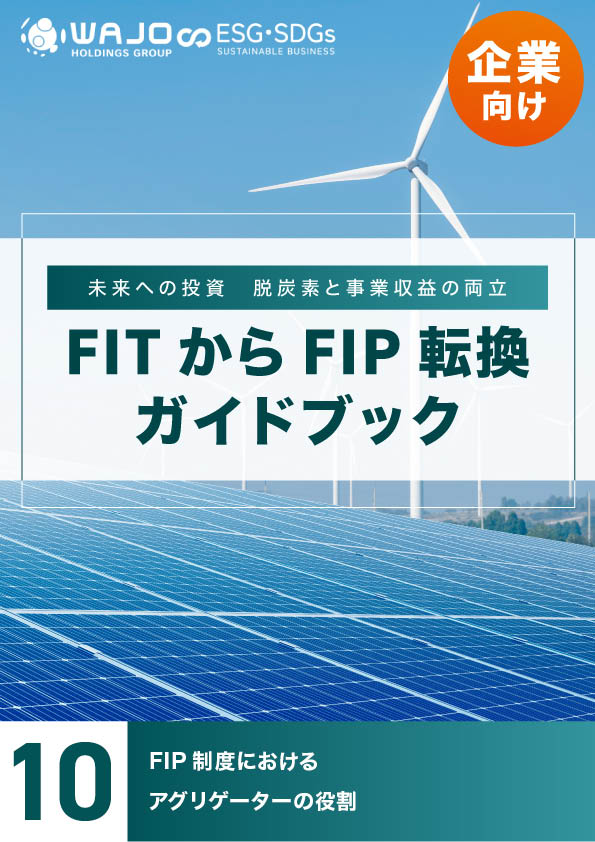 FIP制度におけるアグリゲーターの役割
