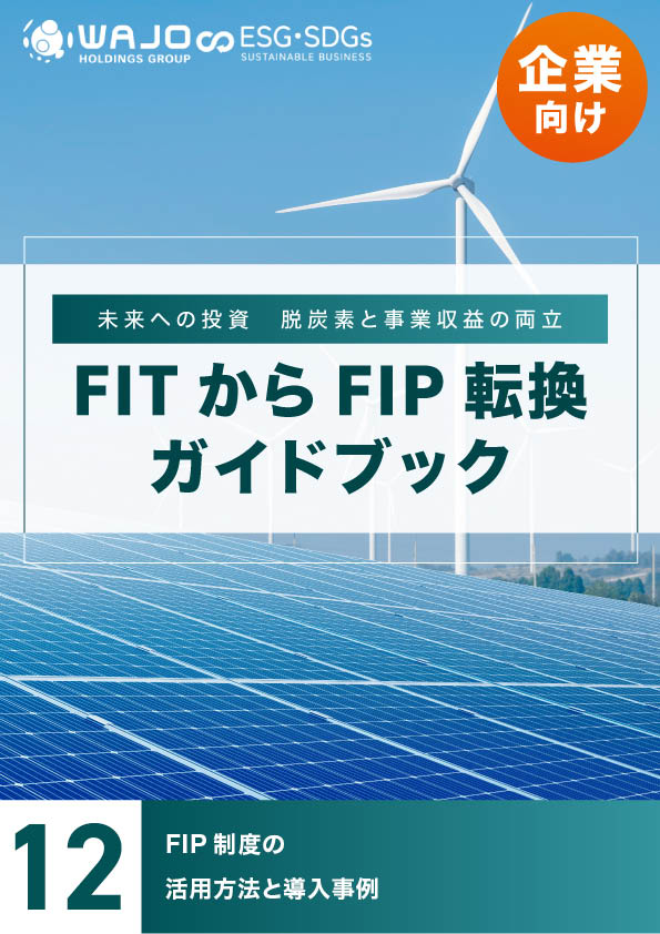 FIP制度の活用方法と導入事例