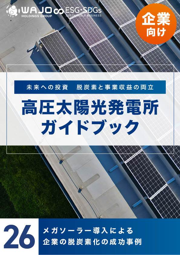 メガソーラー導入による企業の脱炭素化の成功事例