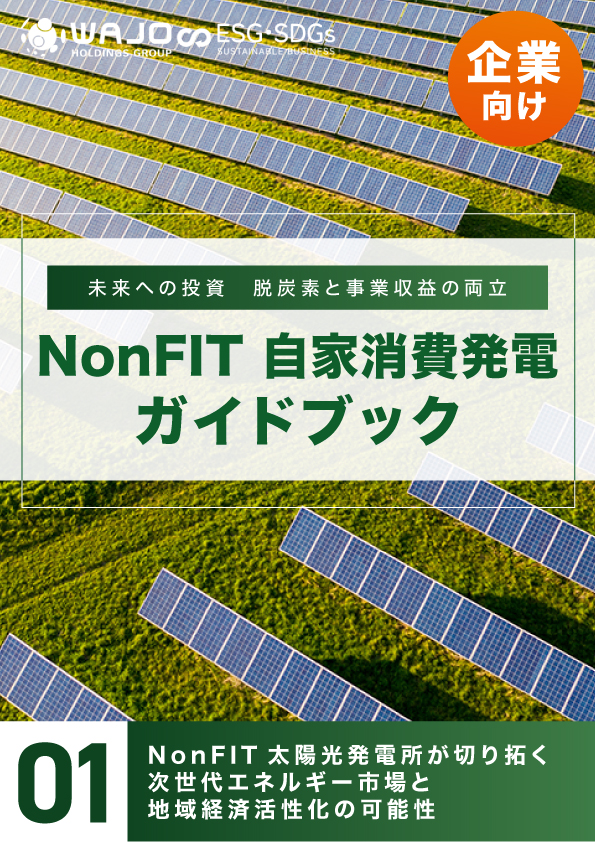 NonFIT太陽光発電所が切り拓く次世代エネルギー市場と地域経済活性化の可能性