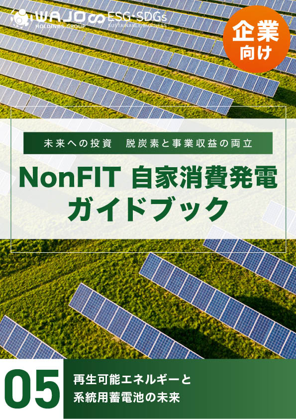 再生可能エネルギーと系統用蓄電池の未来