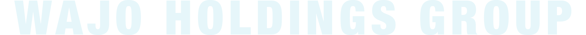 WAJO HOLDINGS GROUP